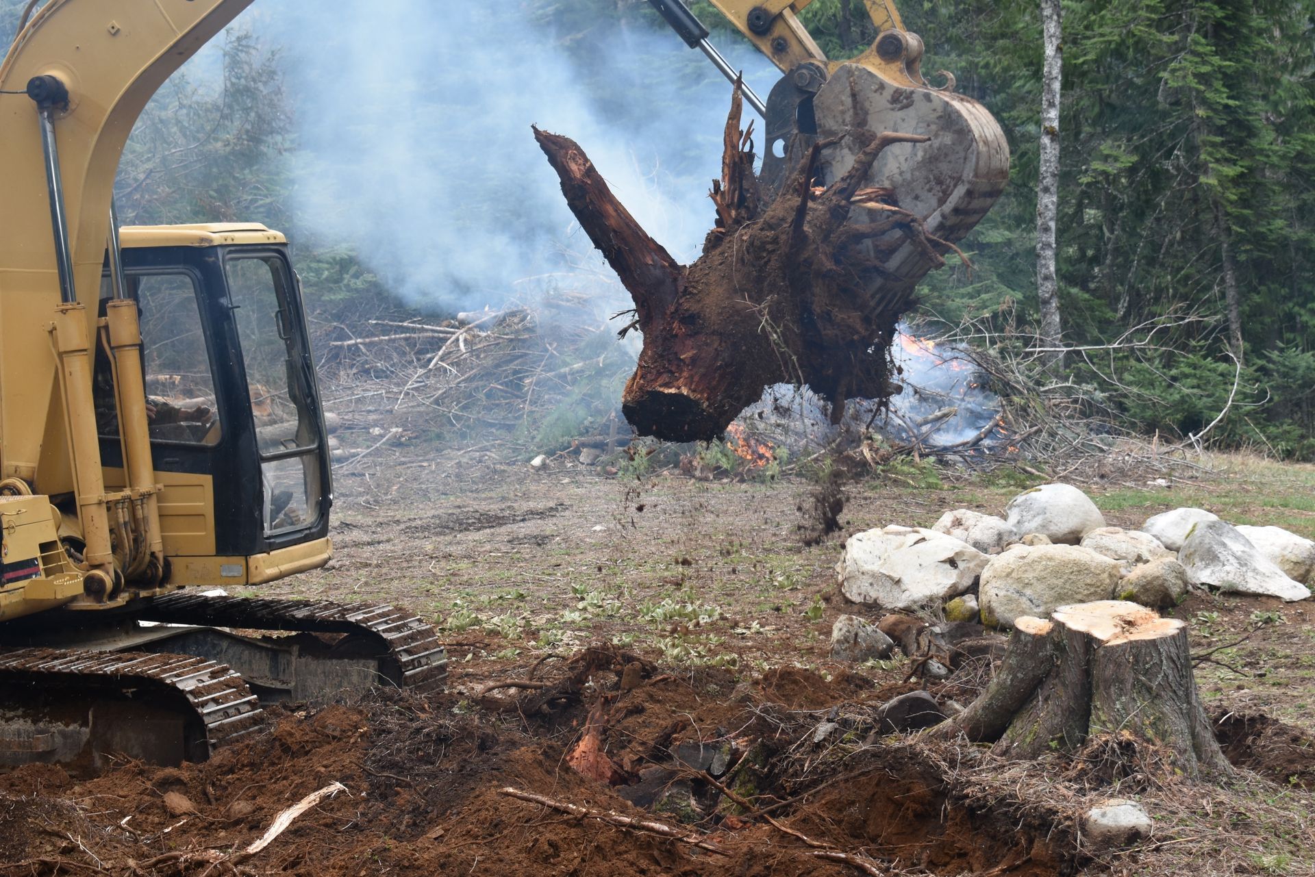 Une excavatrice soulève une grosse souche d’arbre