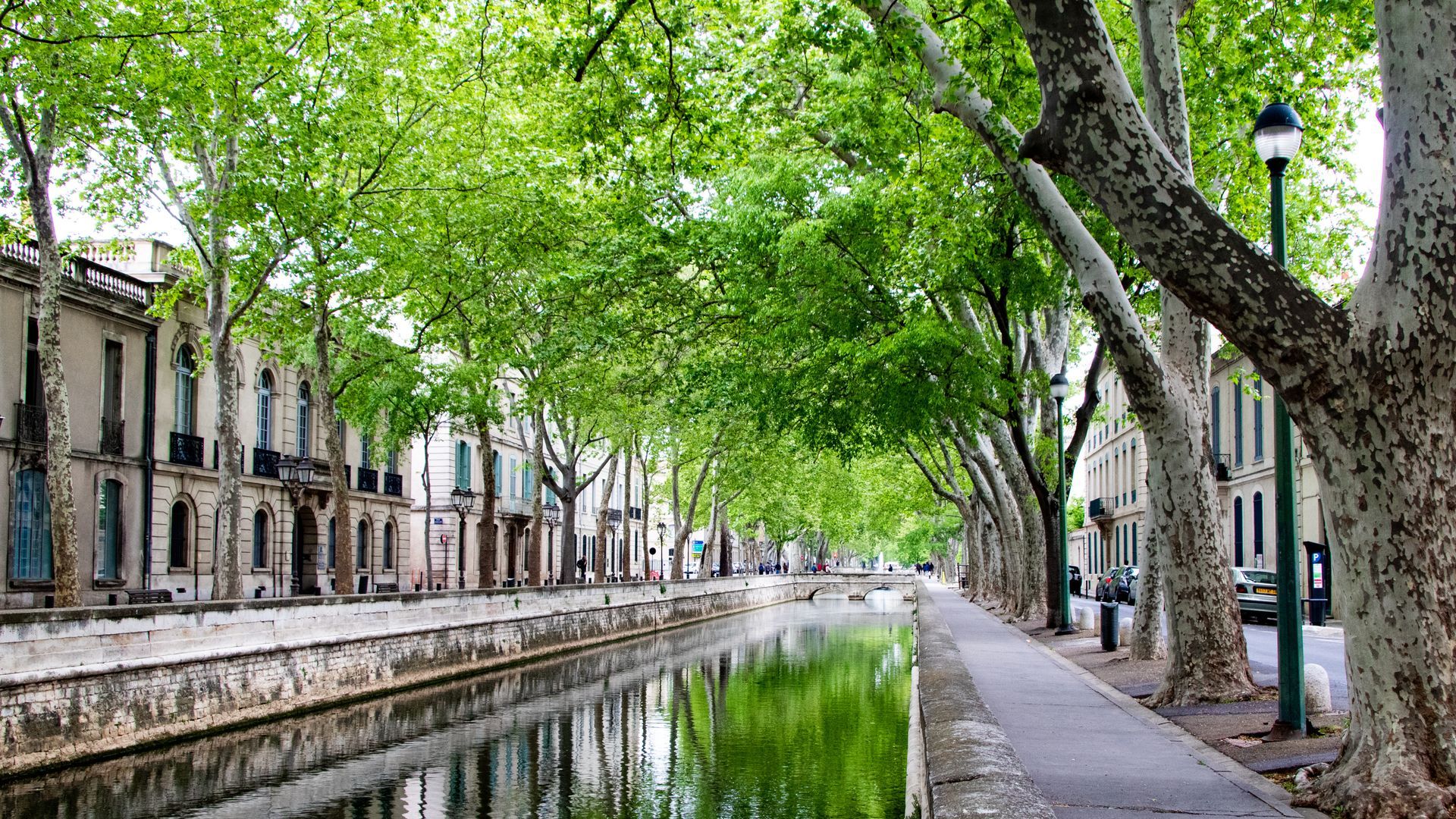 Promenade arborée le long d’un canal, bordée de bâtiments
