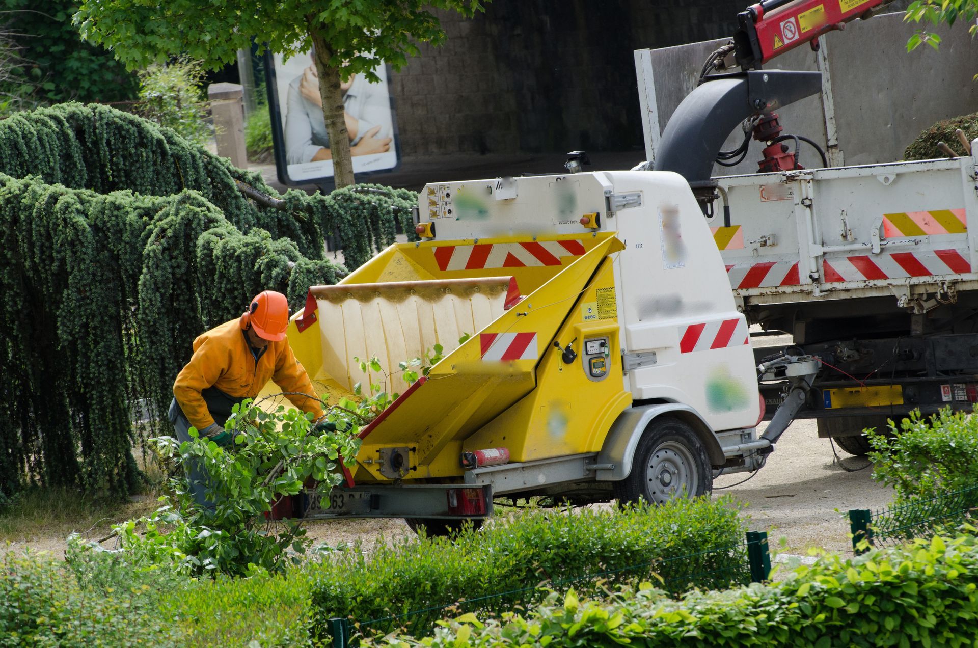 Un ouvrier portant un casque orange introduit des branches dans un broyeur à bois jaune