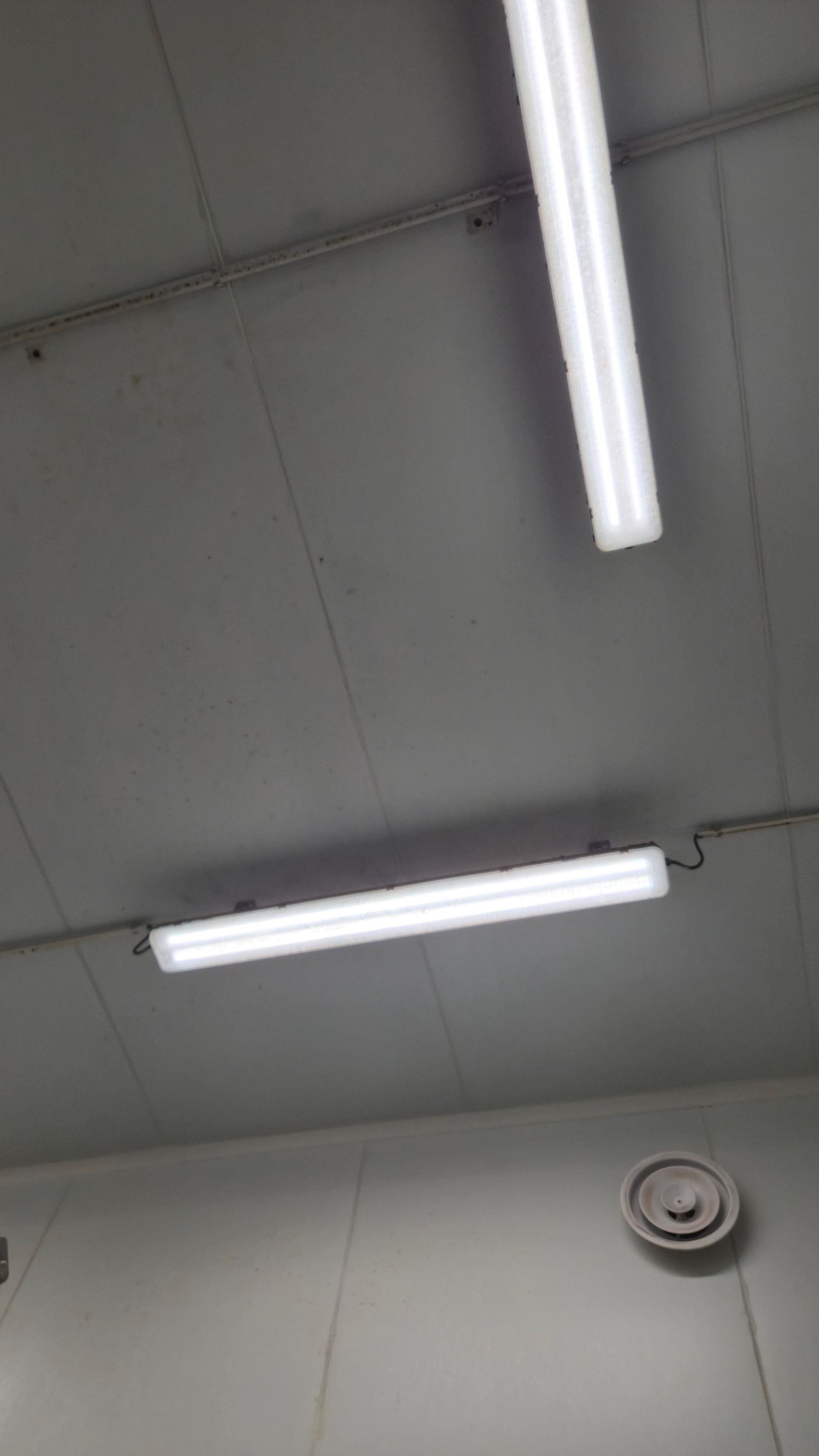 Plafond avec deux luminaires fluorescents 