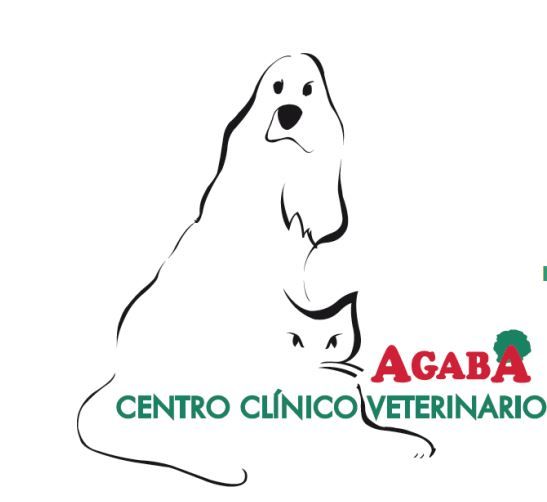 Un logotipo para un veterinario con un perro y un gato.