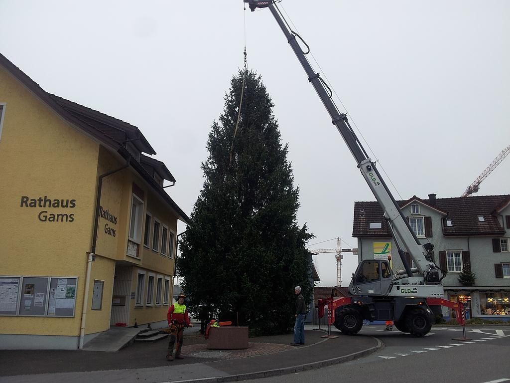 Christbaum aufstellen - GLB Bau Gams