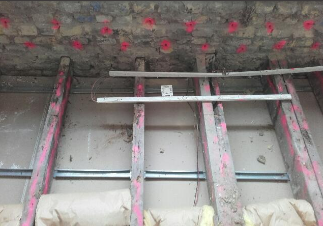 Prolifération de champignons