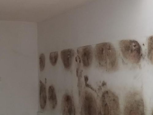 Traitement des remontées capillaires