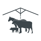 Animaux sous pergola