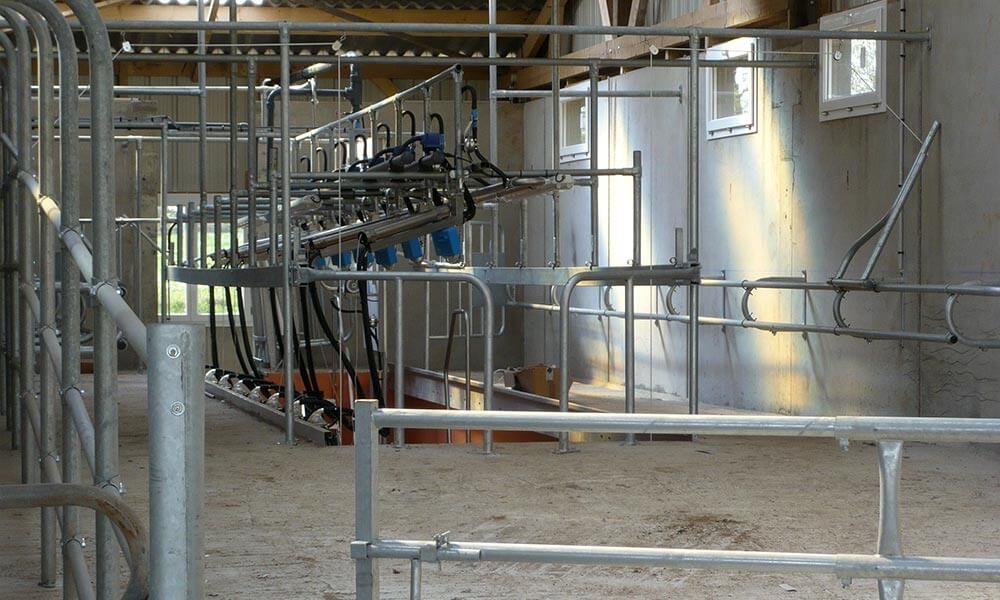 Intérieur d'une grange avec des stalles métalliques et du matériel de traite.