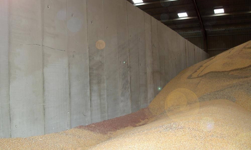 Mur en béton jouxtant un grand tas de céréales à l'intérieur d'un entrepôt, éclairé par des plafonniers.