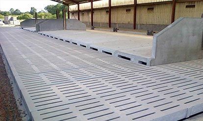 Sol en béton pour l'élevage, avec sections ajourées et murs pleins à l'intérieur d'une étable.