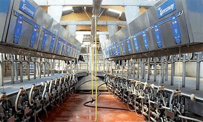 Salle de traite laitière avec équipements en acier inoxydable.