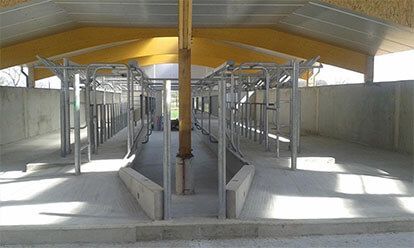 Étables couvertes pour le bétail, avec sols en béton et structures métalliques grises.