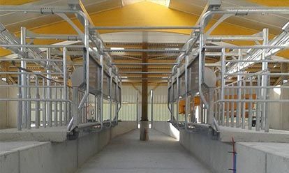 Intérieur d'une grange moderne avec enclos métalliques, sol en béton clair et toit jaune.