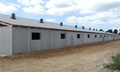 Long bâtiment agricole en béton gris, avec de petites fenêtres et un toit en pente, sous un ciel bleu.