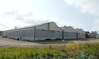 De grands bâtiments agricoles gris sous un ciel nuageux.