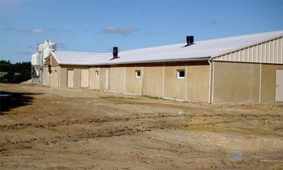 Un long bâtiment agricole beige, avec un toit en métal blanc et des silos, se dresse sur la terre battue sous un ciel bleu.