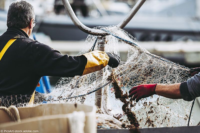 Lachs & Butt Gesellschaft für Frischfischhandel MBH Berlin
