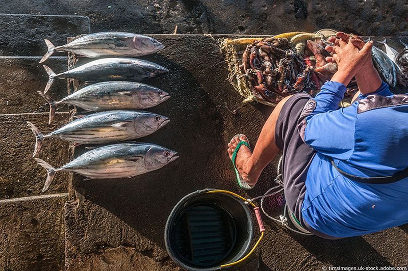 Lachs & Butt Gesellschaft für Frischfischhandel MBH Berlin