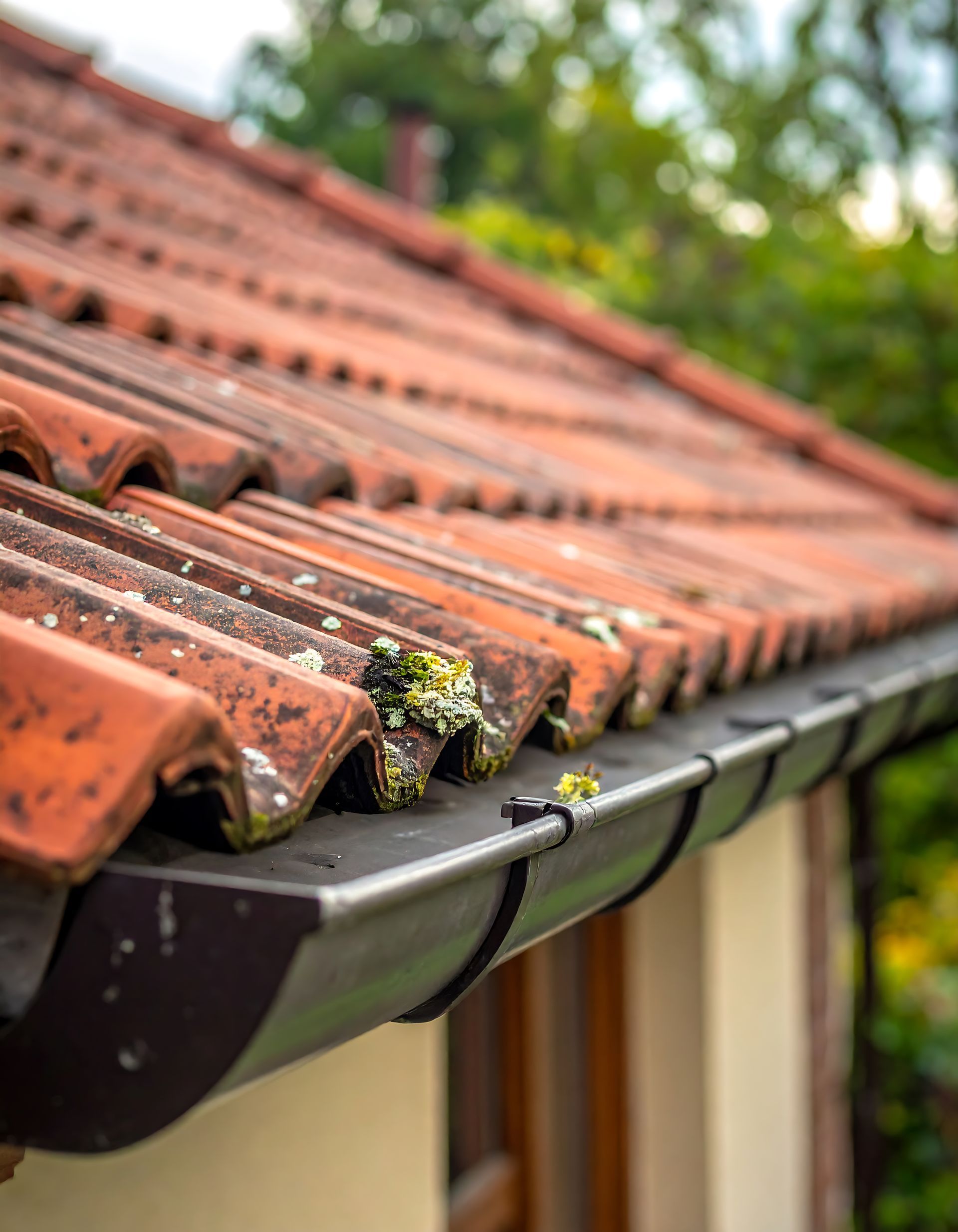 Toiture en tuiles de terre cuite avec gouttière sombre, un peu de mousse à l'extérieur.