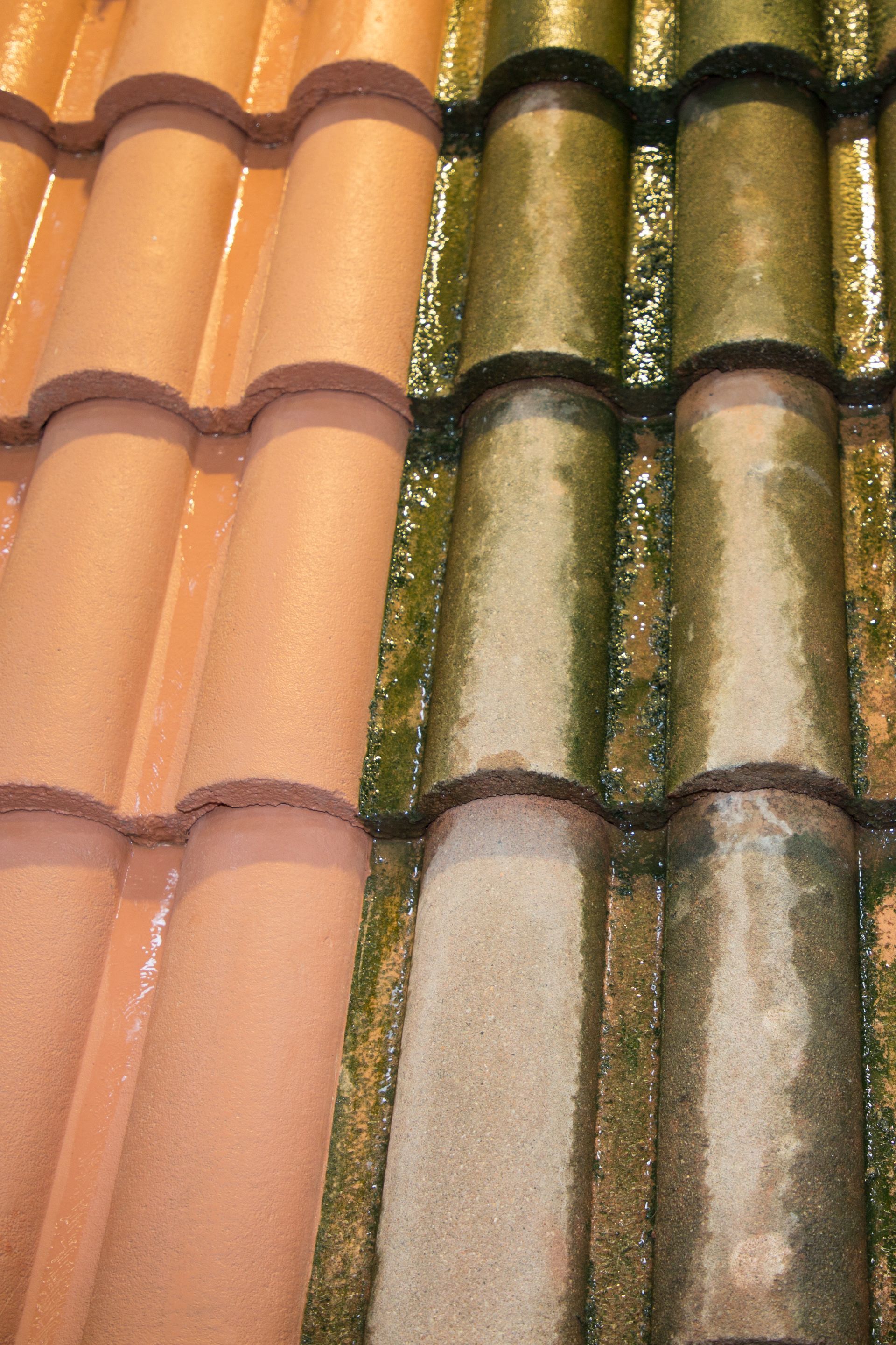 Tuiles de toit, moitié propre, moitié recouverte de mousse et d'algues. Contraste de couleurs orange et vertes.