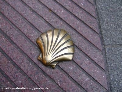 Jakobsmuschel aus Bronze