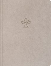 Bibel mit Kunstledereinband