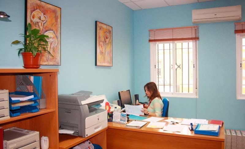 Pequeña oficina con una mujer trabajando en un escritorio, paredes azules, impresora y persianas en la ventana.