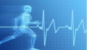 Καρδιολόγος Κώτσας Δημήτρης