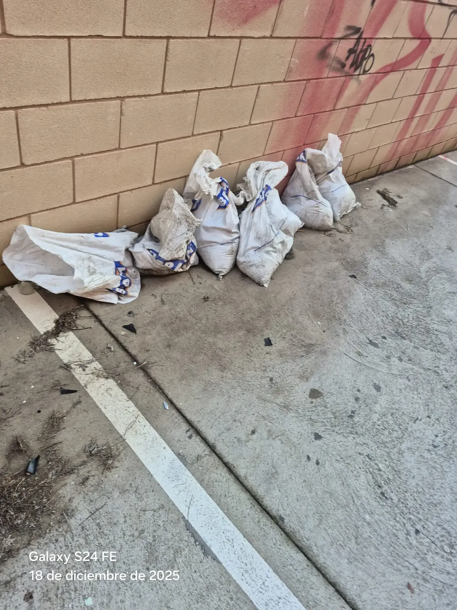 Varias bolsas de basura blancas y una caja apiladas junto a una pared de bloques de hormigón rosa, sobre una acera de cemento.