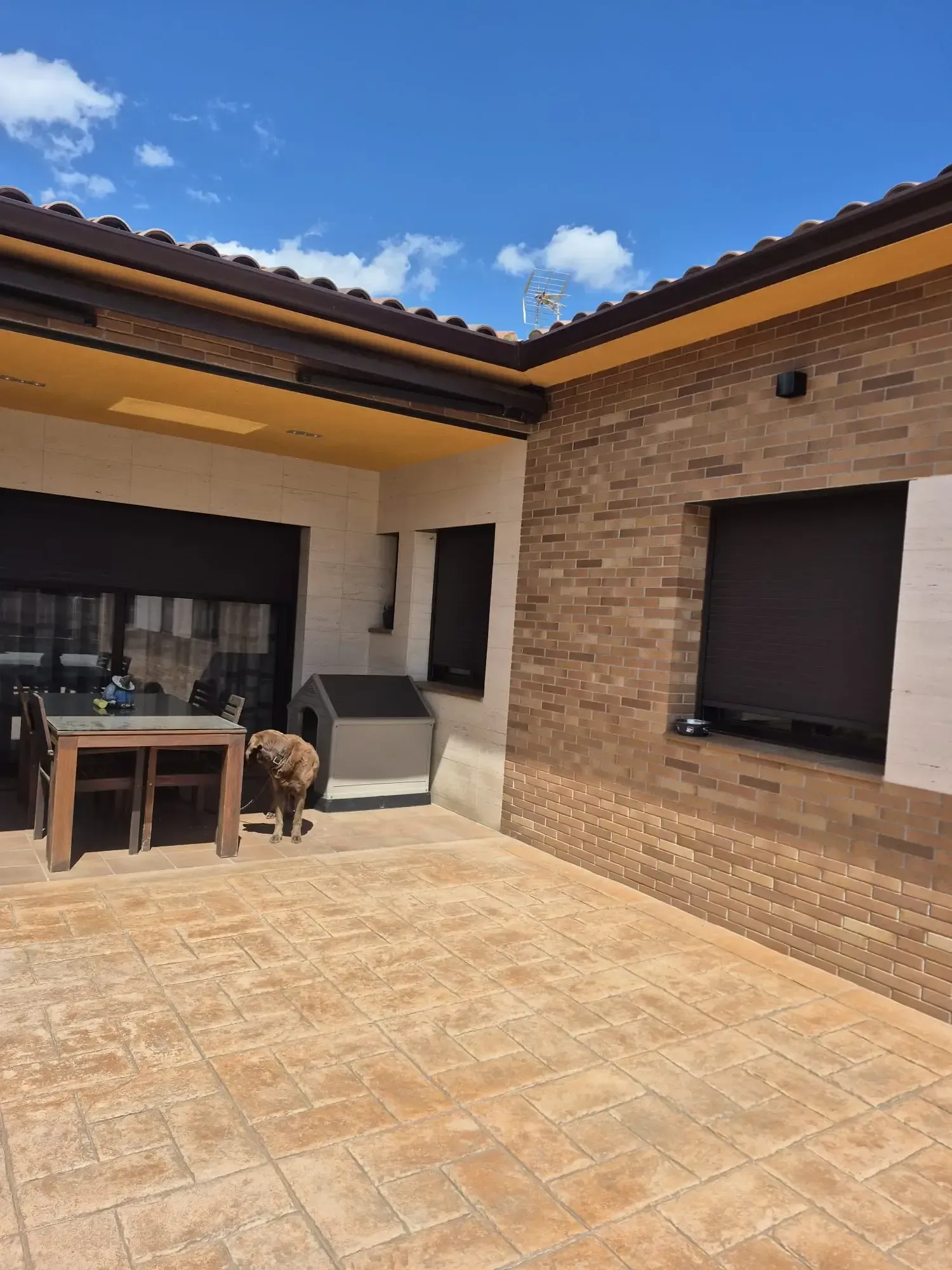 Patio con baldosas color tostado, paredes de ladrillo, muebles de exterior y un perro pequeño bajo un cielo azul y soleado