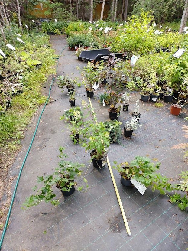 Kaparin Kiinteistöhuolto