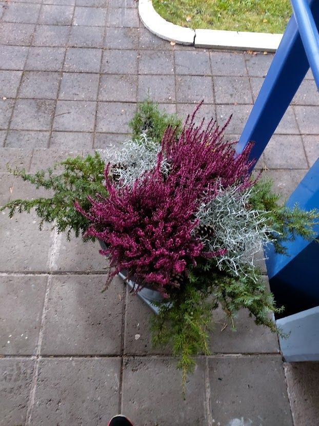 Kaparin Kiinteistöhuolto