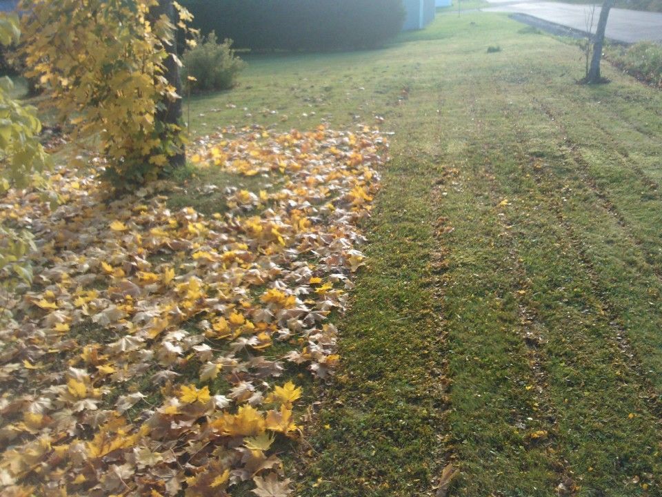 Kaparin Kiinteistöhuolto