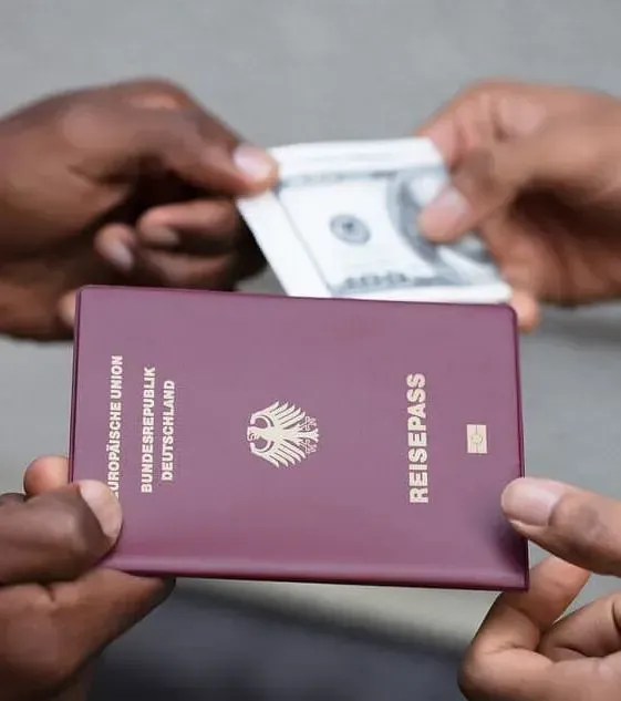 Una persona que lleva un pasaporte morado que dice reisepass