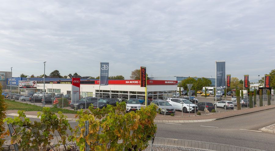 Vor einem Autohaus parken viele Autos.