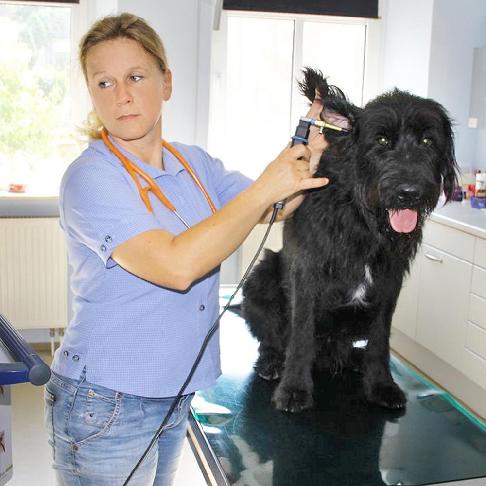 Tierärztin Plasa-Rost