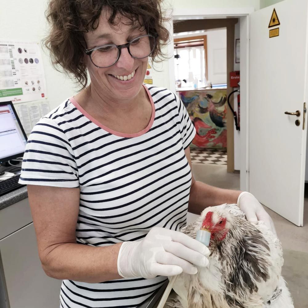 Mitarbeiterin mit Huhn