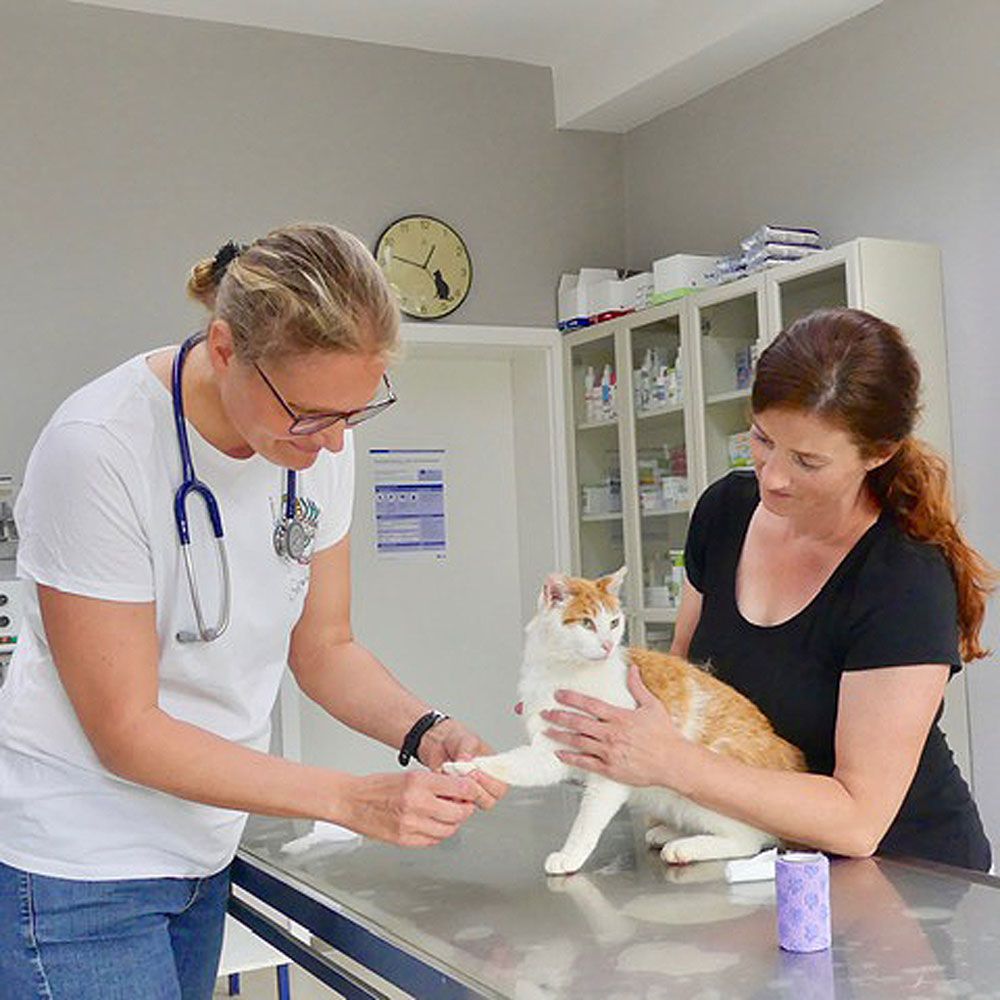 Tierarztpraxis Plasa-Rost