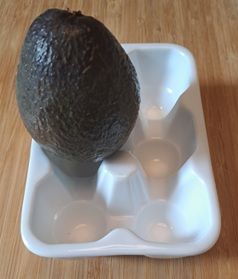 Claudia Gaster qualifizierte Ernährungsberatung in Baden-Baden