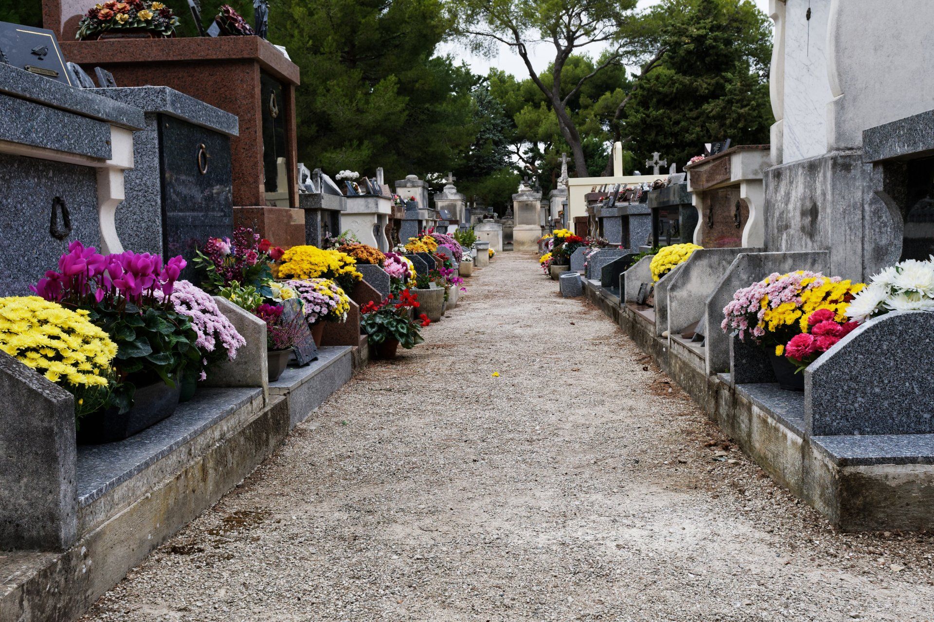 Sépultures fleuries