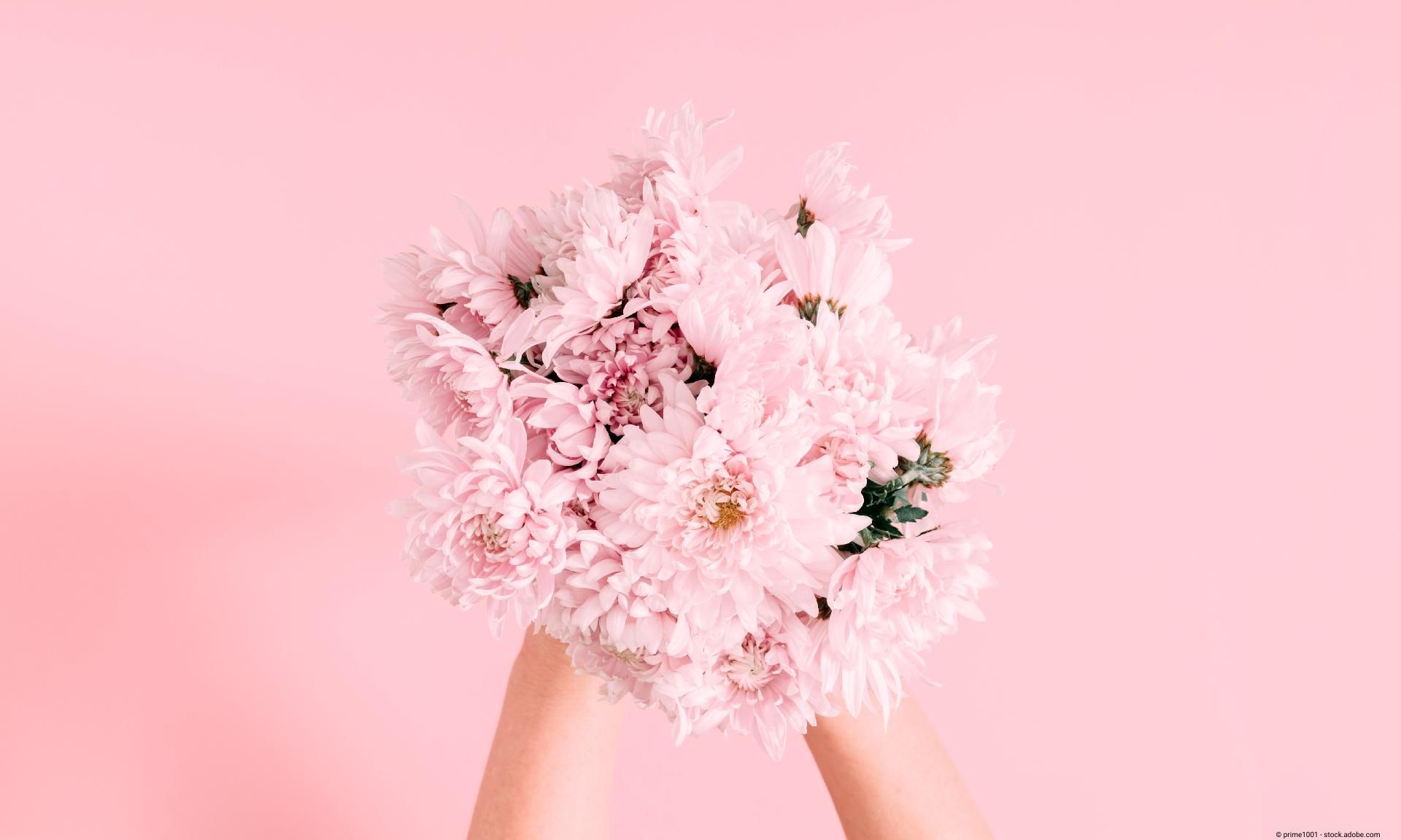 Ein Strauß pinker Blumen auf rosafarbenem Hintergrund