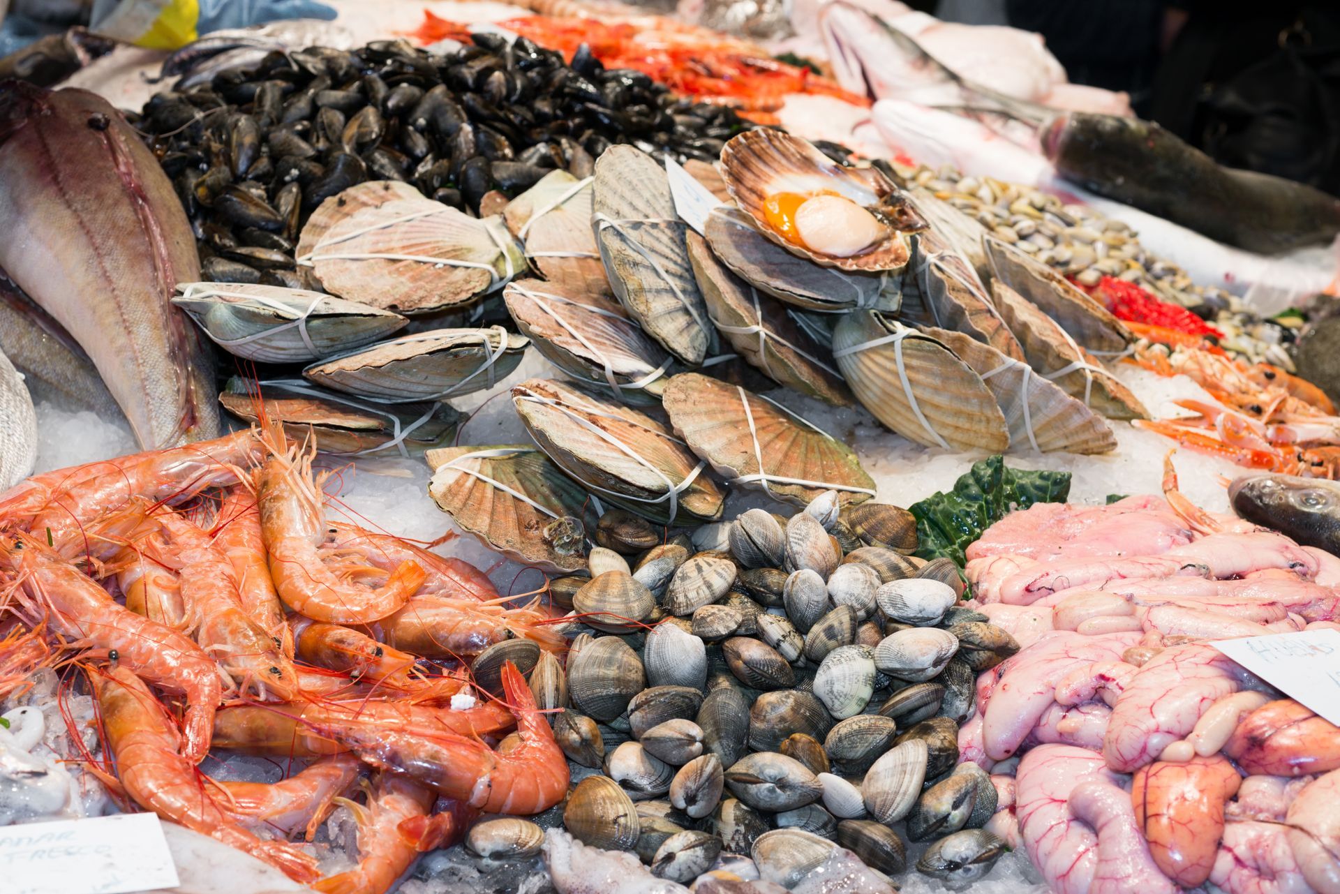 Présentoir de fruits de mer frais avec crevettes, huîtres, poissons, moules et coquillages.