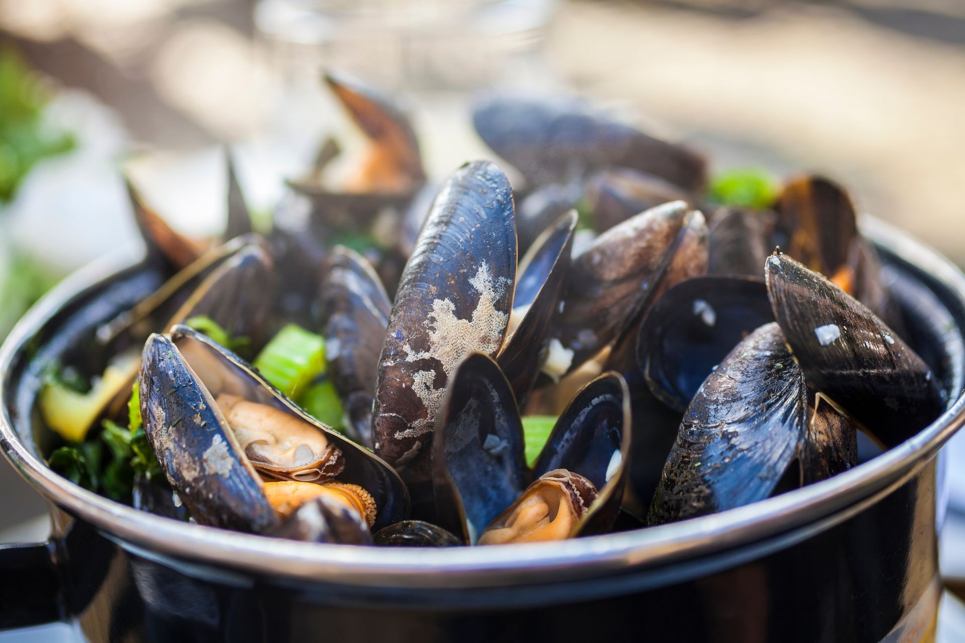 Marmite fumante de moules cuites.