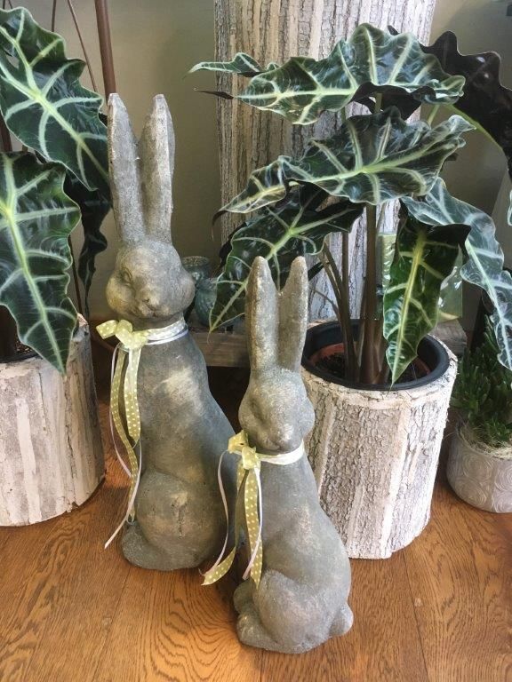 pflanzen - riedland.ch in Tuggen