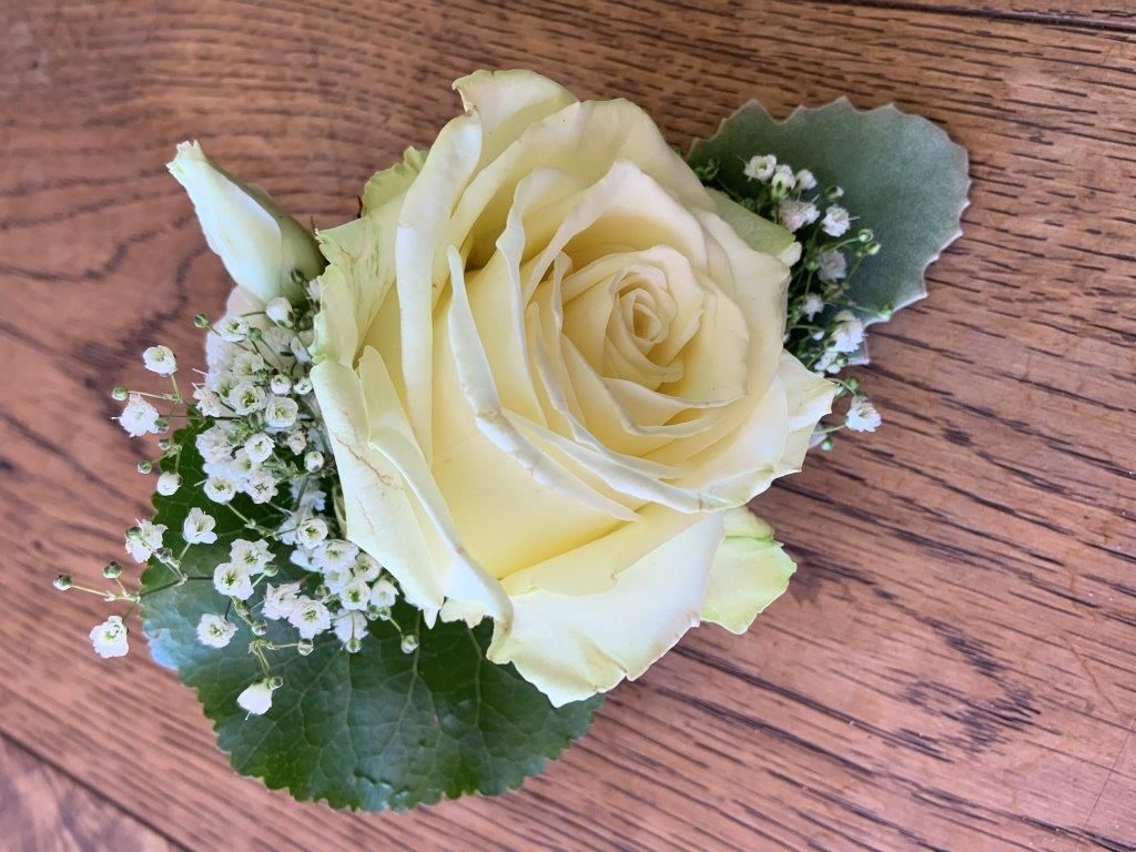 Geschenkartikel Dekoration - riedland.ch in Tuggen