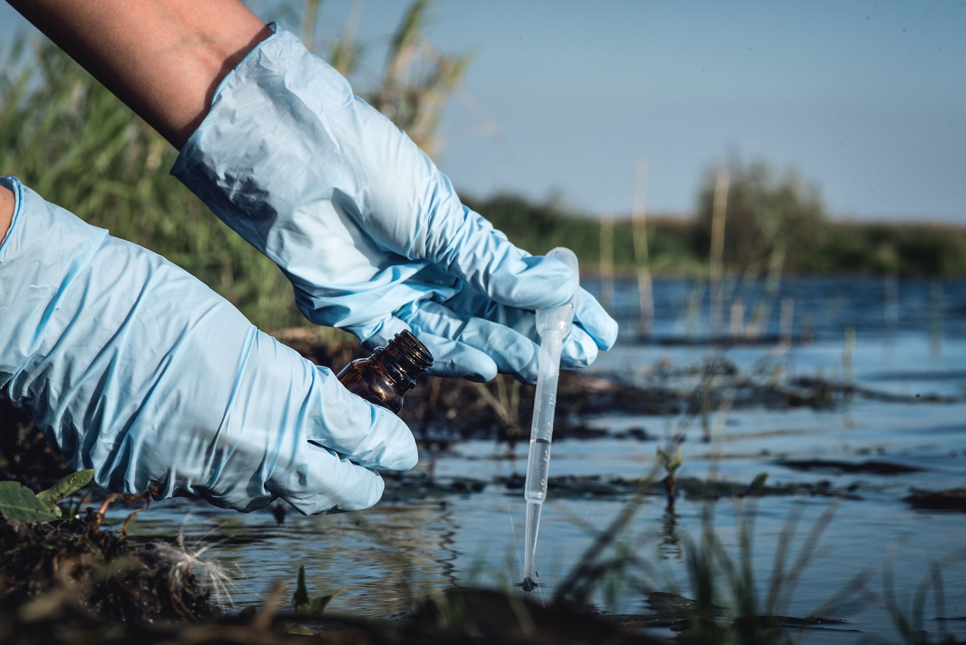 Prélèvement d’un échantillon d’eau avec une pipette près d’un cours d’eau.