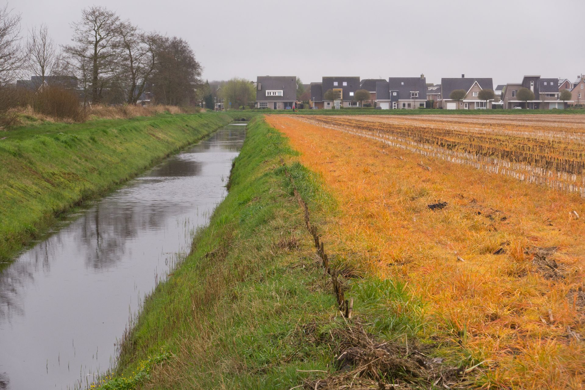 Fossé d’eau longeant un champ près d’un village.