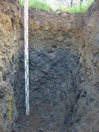 étude pédologique Bretagne