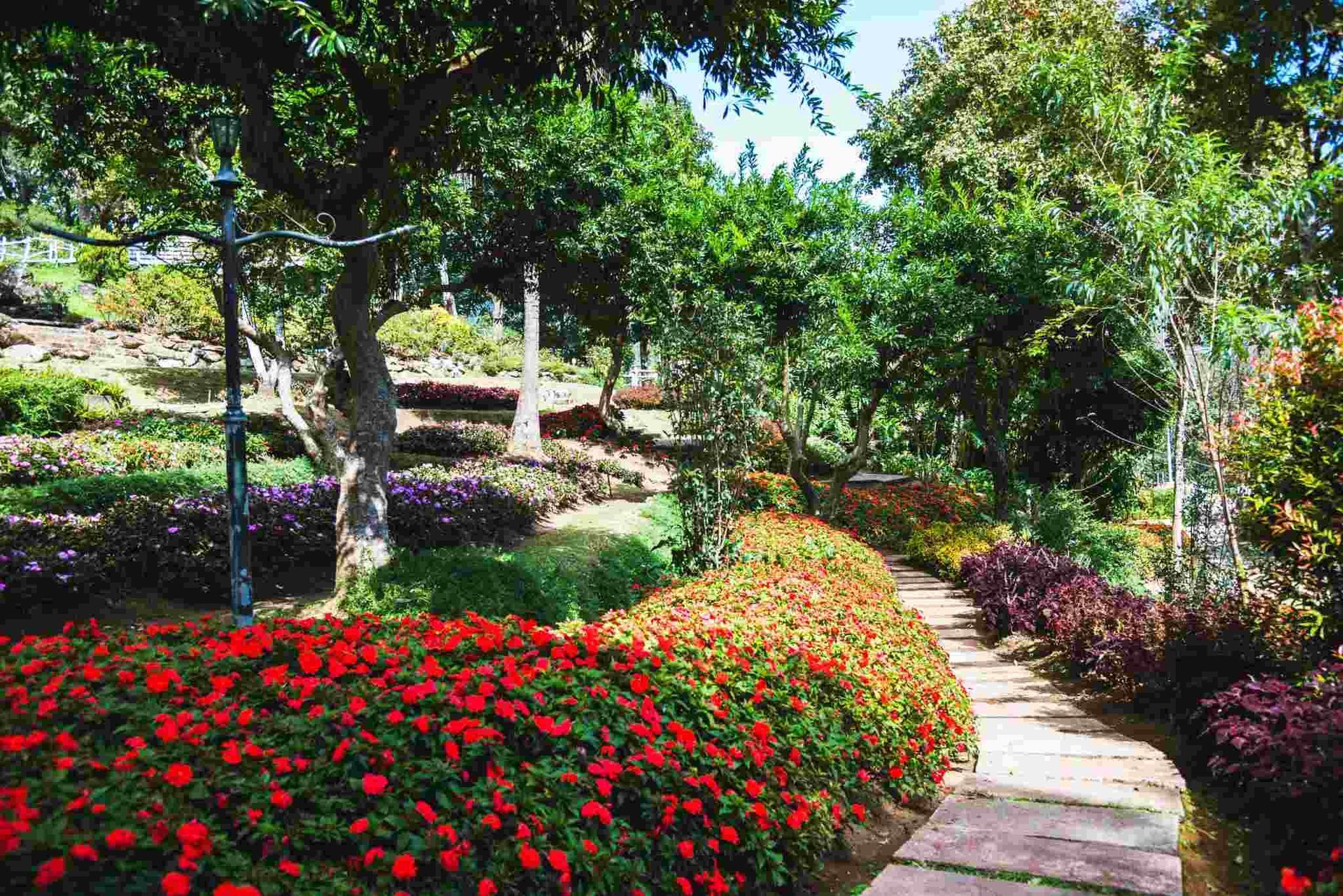 Jardín colorido con flores rojas, arbustos verdes y un sendero de piedra que serpentea entre los árboles.