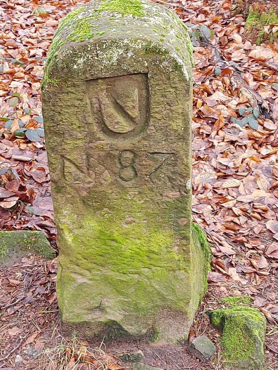 Grenzstein, Foto von R&R Vermessung