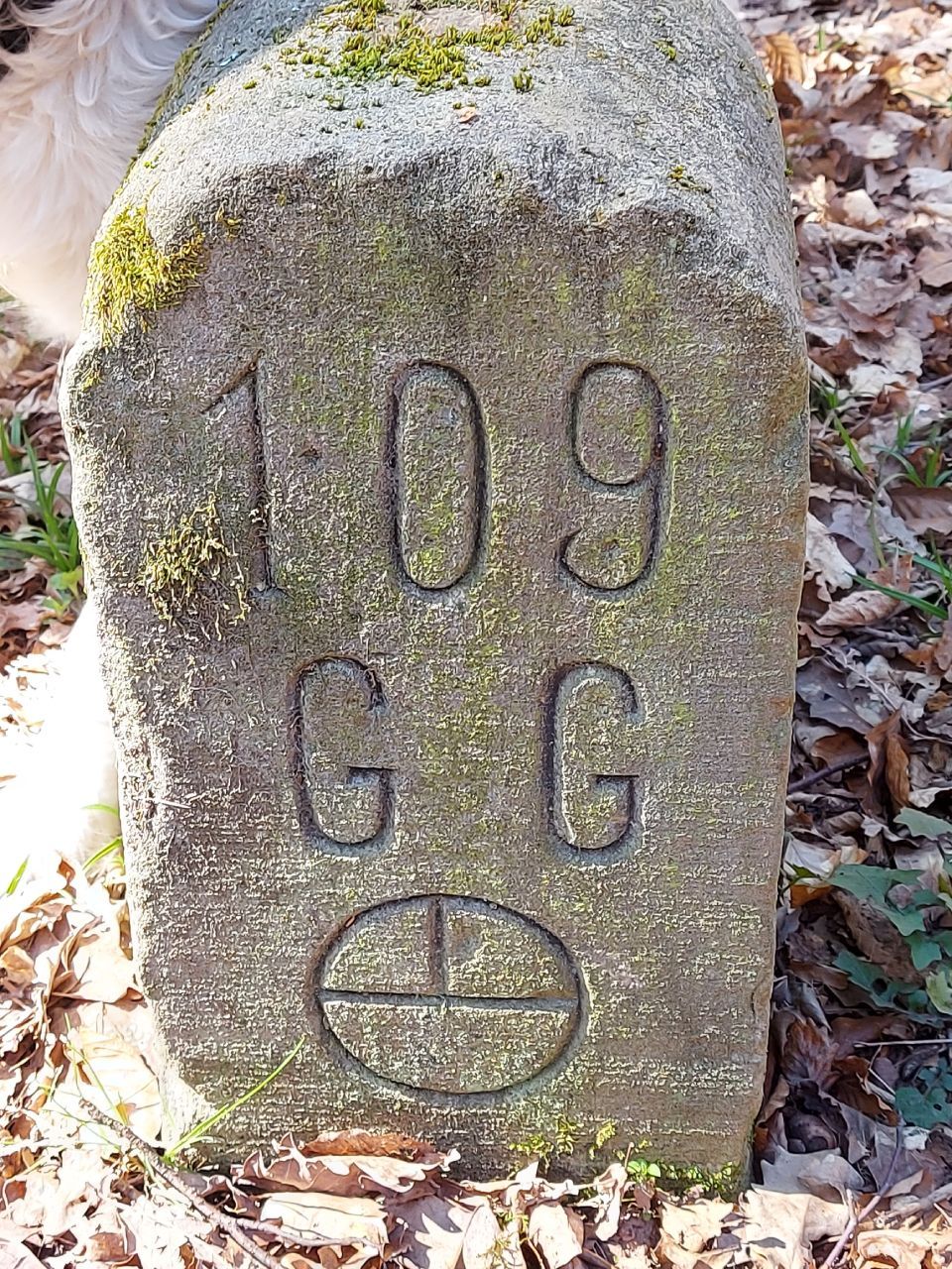 Grenzstein, Foto von R&R Vermessung