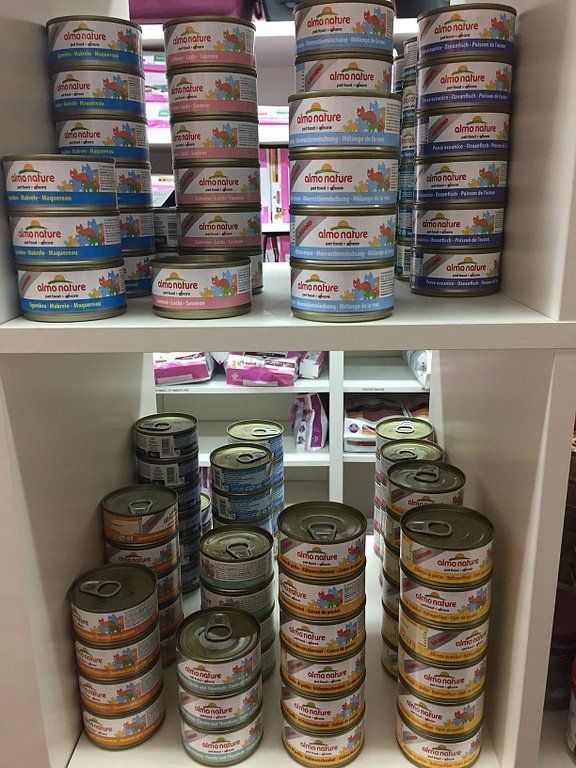 Alimentation pour chat